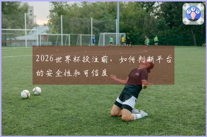 2026世界杯投注前，如何判断平台的安全性和可信度