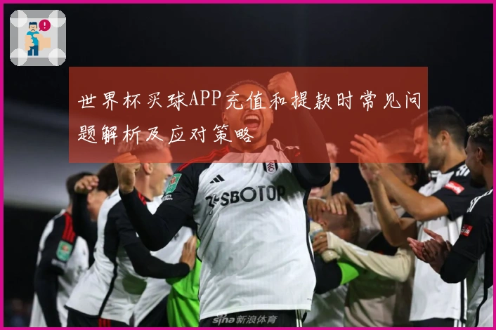 世界杯买球APP充值和提款时常见问题解析及应对策略
