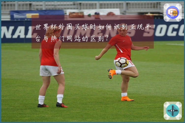 世界杯外围买球时如何识别正规平台与热门网站的区别?