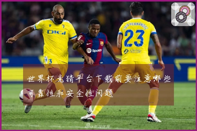 世界杯竞猜平台下载前要注意哪些可靠性和安全性问题