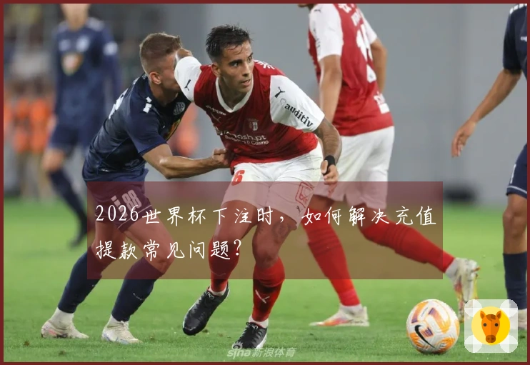 2026世界杯下注时，如何解决充值提款常见问题？
